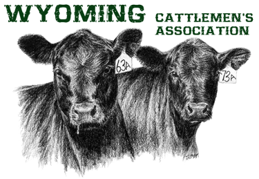 Wyoming Cattlemen's Association