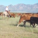 The Mexico Border is a National Crisis for American Cattle Ranchers